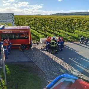 WhatsApp Image 2025-12-29 at 13.08.43